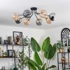 Chehalis Plafondlamp - Glas 15 cm Goud, Zwart, 8-lichts