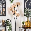 Gastor Staande lamp - Glas 15 cm Amber, 5-lichts