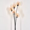Gastor Staande lamp - Glas 15 cm Amber, 5-lichts