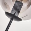 Gastor Staande lamp - Glas 15 cm Rookkleurig, 3-lichts