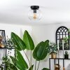 Apedo Plafondlamp - Glas 20 cm Duidelijk, 1-licht