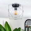 Apedo Plafondlamp - Glas 20 cm Duidelijk, 1-licht