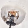 Gastor Staande lamp - Glas 15 cm Duidelijk, Rookkleurig, 6-lichts
