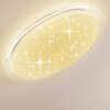 Sweet Plafondpaneel LED Wit, 1-licht