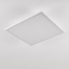 Barasat Plafondlamp LED Wit, 1-licht