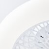 Brilliant Salerno Plafondlamp LED Wit, 1-licht, Afstandsbediening