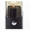 Brilliant Minou Buiten staande lamp Zwart, 1-licht