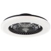 Brilliant Badria Plafondlamp LED Zwart, 1-licht, Afstandsbediening