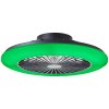 Brilliant Salerno Plafondlamp LED Zwart, 1-licht, Afstandsbediening