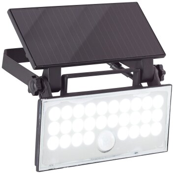 Brilliant Luton Buiten muurverlichting LED Zwart, 1-licht, Bewegingsmelder