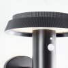 Brilliant Alvero Buiten muurverlichting LED Zwart, 1-licht, Bewegingsmelder