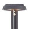 Brilliant Alvero Buiten staande lamp LED Zwart, 1-licht, Bewegingsmelder