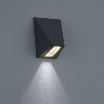 Helestra Trim Buiten muurverlichting LED Zwart, 1-licht