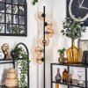 Gastor Staande lamp - Glas 15 cm Amber, Duidelijk, 6-lichts