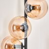 Gastor Staande lamp - Glas 15 cm Amber, 6-lichts