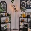 Gastor Staande lamp - Glas 15 cm Rookkleurig, 3-lichts