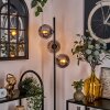 Gastor Staande lamp - Glas 15 cm Rookkleurig, 3-lichts