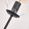 Gastor Staande lamp - Glas 15 cm Duidelijk, 3-lichts