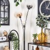 Gastor Staande lamp - Glas 15 cm Amber, Duidelijk, Rookkleurig, 3-lichts