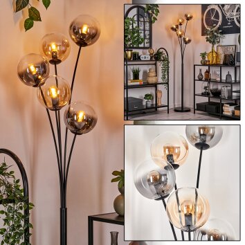 Gastor Staande lamp - Glas 15 cm Amber, Duidelijk, Rookkleurig, 5-lichts