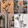 Gastor Staande lamp - Glas 15 cm Duidelijk, Rookkleurig, 5-lichts