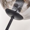 Gastor Staande lamp - Glas 15 cm Duidelijk, Rookkleurig, 5-lichts