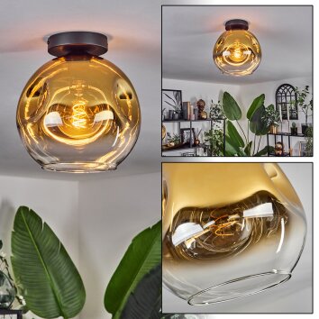 Ripoll Plafondlamp - Glas 25 cm Goud, Duidelijk, 1-licht