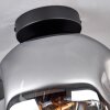 Ripoll Plafondlamp - Glas 25 cm Chroom, Duidelijk, 1-licht
