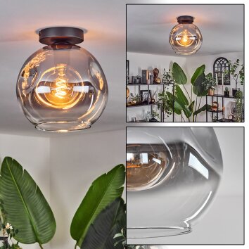 Ripoll Plafondlamp - Glas 25 cm Duidelijk, Rookkleurig, 1-licht