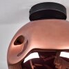 Ripoll Plafondlamp - Glas 25 cm Koperkleurig, 1-licht