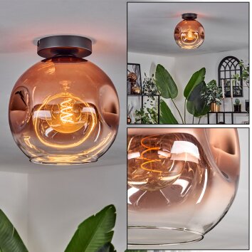 Ripoll Plafondlamp - Glas 25 cm Duidelijk, Koperkleurig, 1-licht