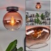 Koyoto Plafondlamp - Glas 20 cm Duidelijk, Koperkleurig, 1-licht