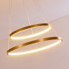 Canisteo Hanger LED Goud, 2-lichts