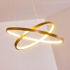 Canisteo Hanger LED Goud, 2-lichts