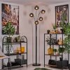 Gastor Staande lamp - Glas 15 cm Duidelijk, Rookkleurig, 5-lichts