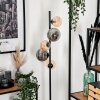 Remaisnil Staande lamp - Glas 12 cm, 15 cm Zwart, 5-lichts