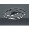 Trio Gale Plafondlamp LED Zwart, 1-licht