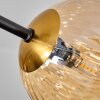 Chehalis Plafondlamp - Glas 12 cm, 15 cm Goud, Zwart, 8-lichts