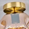 Ripoll Plafondlamp - Glas 20 cm Goud, Zwart, 1-licht