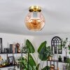 Ripoll Plafondlamp - Glas 20 cm Goud, Zwart, 1-licht
