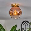Ripoll Plafondlamp - Glas 20 cm Goud, Zwart, 1-licht