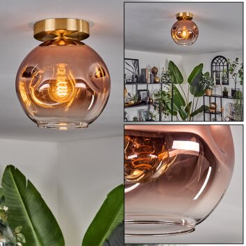 Ripoll Plafondlamp - Glas 20 cm Goud, Zwart, 1-licht