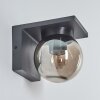 Aquin Buiten muurverlichting Antraciet, 1-licht
