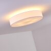 Skelbaek Plafondlamp Nikkel mat, 5-lichts