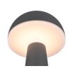 Reality FUNGO Tafellamp LED Antraciet, 1-licht