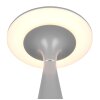 Reality TORREZ Tafellamp LED Grijs, 1-licht