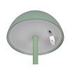 Reality RICARDO Tafellamp LED Groen, 1-licht