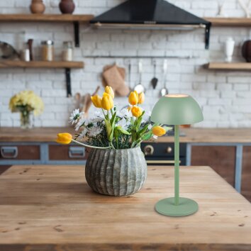 Reality RICARDO Tafellamp LED Groen, 1-licht