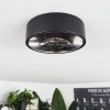 Grayan Plafondlamp LED Zwart, 1-licht