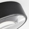 Grayan Plafondlamp LED Zwart, 1-licht